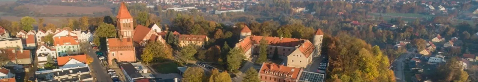 Pasłęk z lotu ptaka