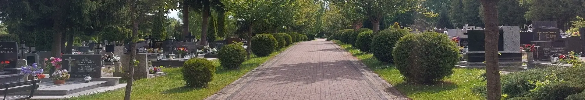 Cmentarz